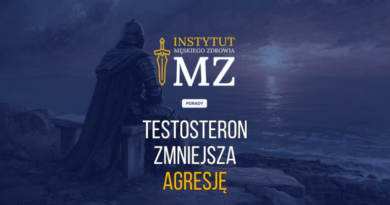 rycerz-patrzacy-ze-spokojem-na-zachod-slonca-panuje-nad-agresja-dzieki-odpowiedniemu-poziomowi-testosteronu-navy