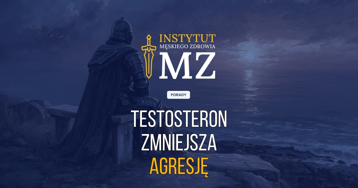 rycerz-patrzacy-ze-spokojem-na-zachod-slonca-panuje-nad-agresja-dzieki-odpowiedniemu-poziomowi-testosteronu-navy